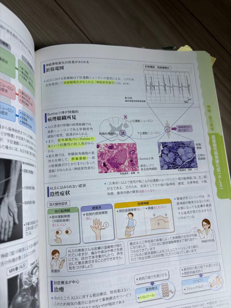 病気がみえる　セット