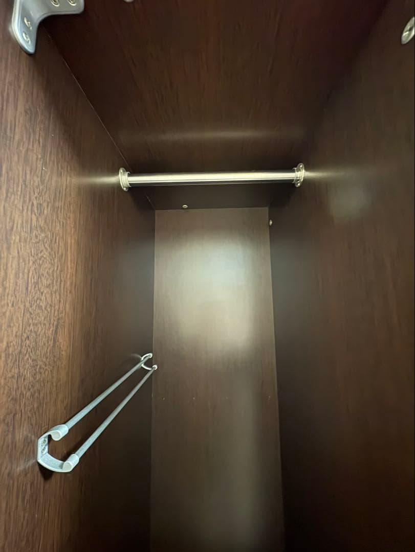 【2月半ばまで】ダークブラウン衣類収納 ミラー付き