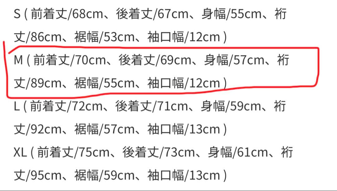 美品　ザノースフェイス フューチャーライトドリズルジャケット np12114