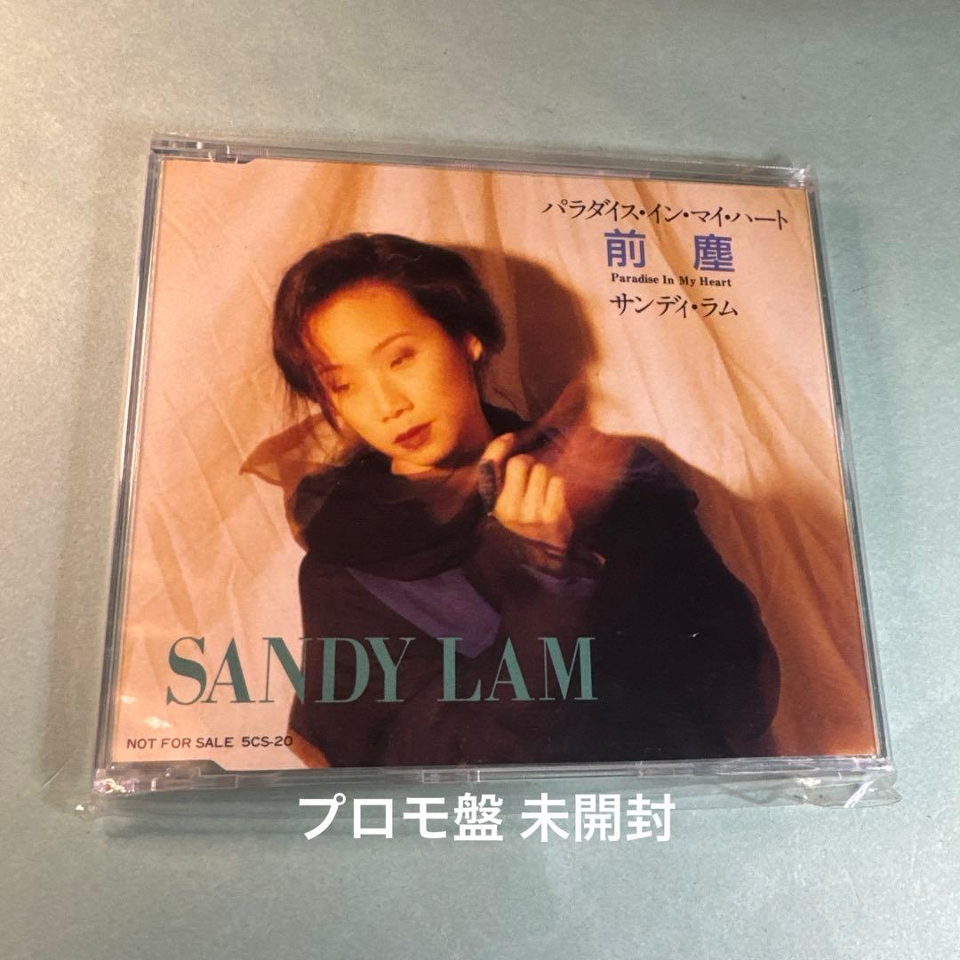 サンディ・ラム SANDY LAM／パラダイス・イン・マイ・ハート