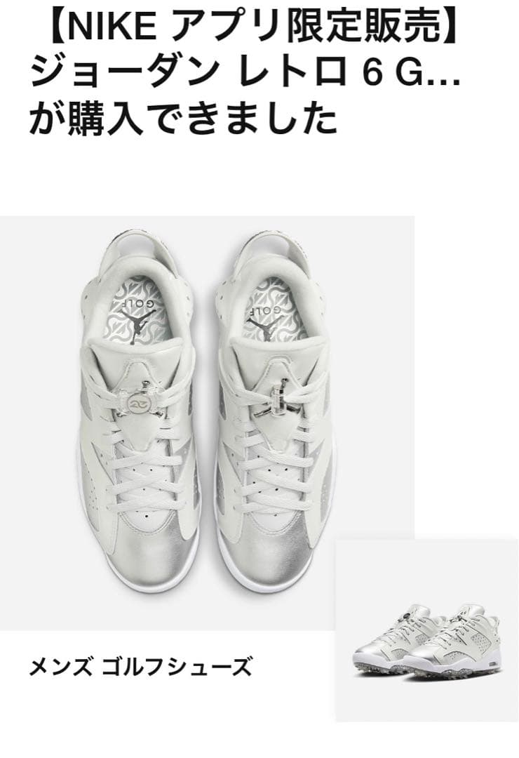 山*郎様 ジョーダン6 レトロ GOLF NRG FD6719-001 ゴルフシ