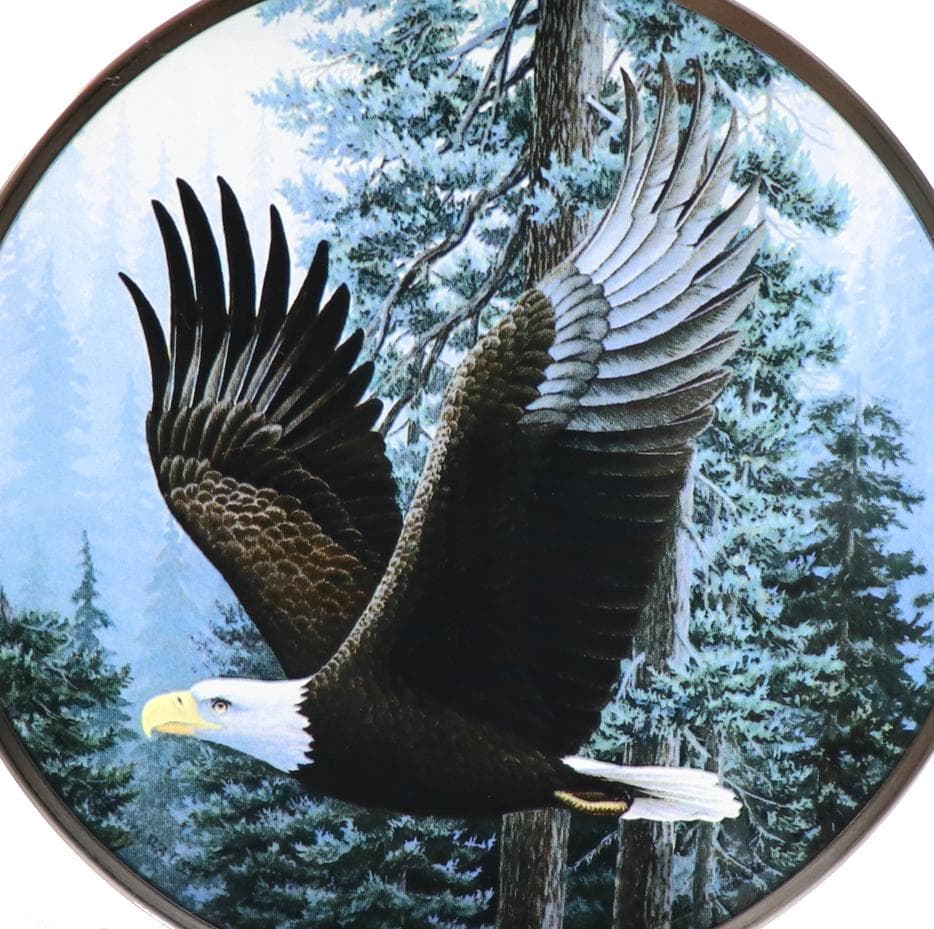 マイケル・バートレット ヴィンテージ ステンドグラス ハクトウワシ イーグル