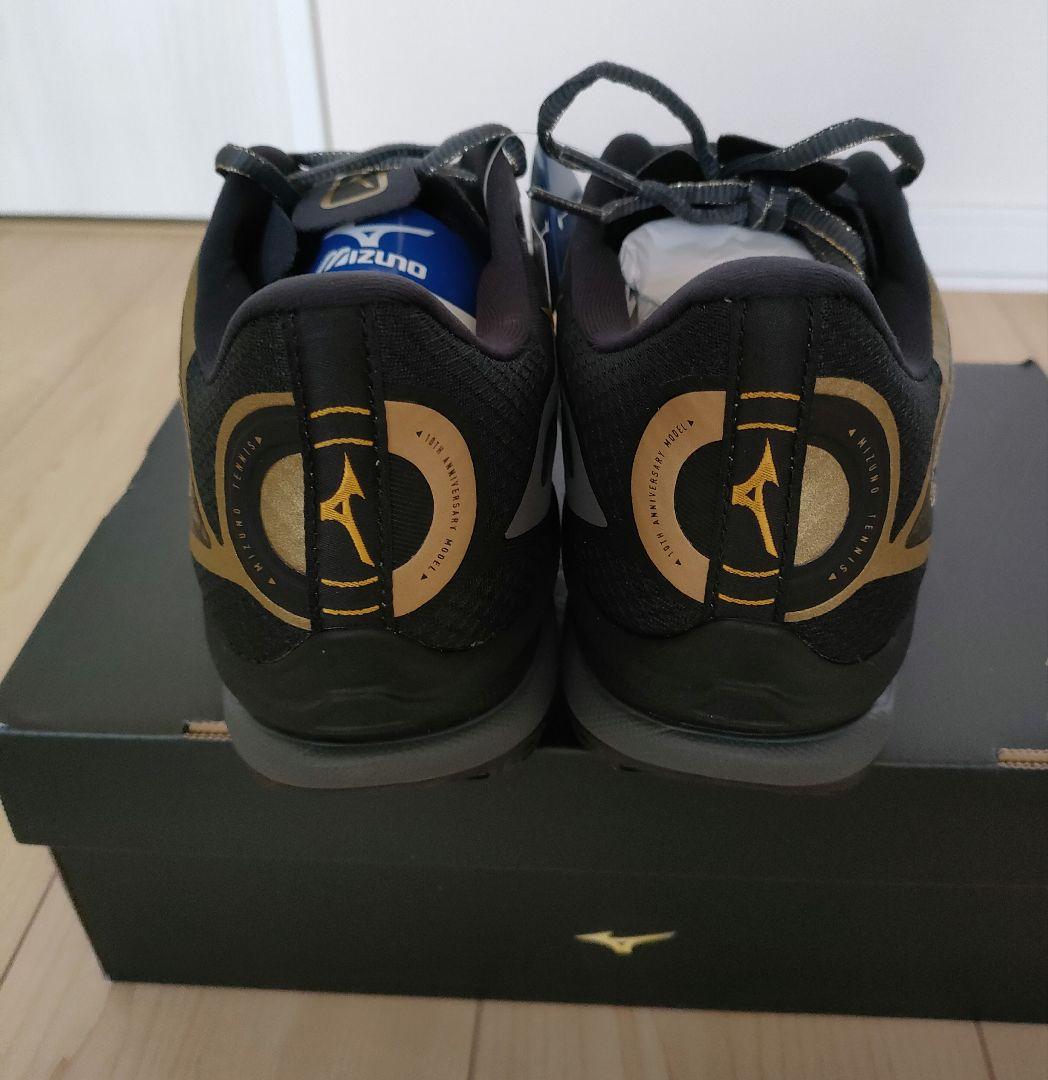 ミズノ テニスシューズ　27.5　ウエーブエクシード 10th