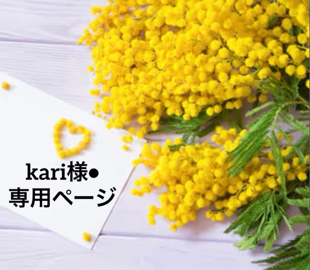 kari様•*¨*•.¸♬︎専用ページです。