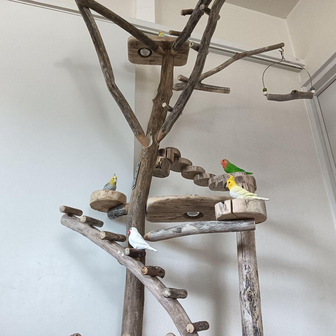 バードアスレチックジム大型 ① 天然木 自然木 流木 インコ おもちゃ