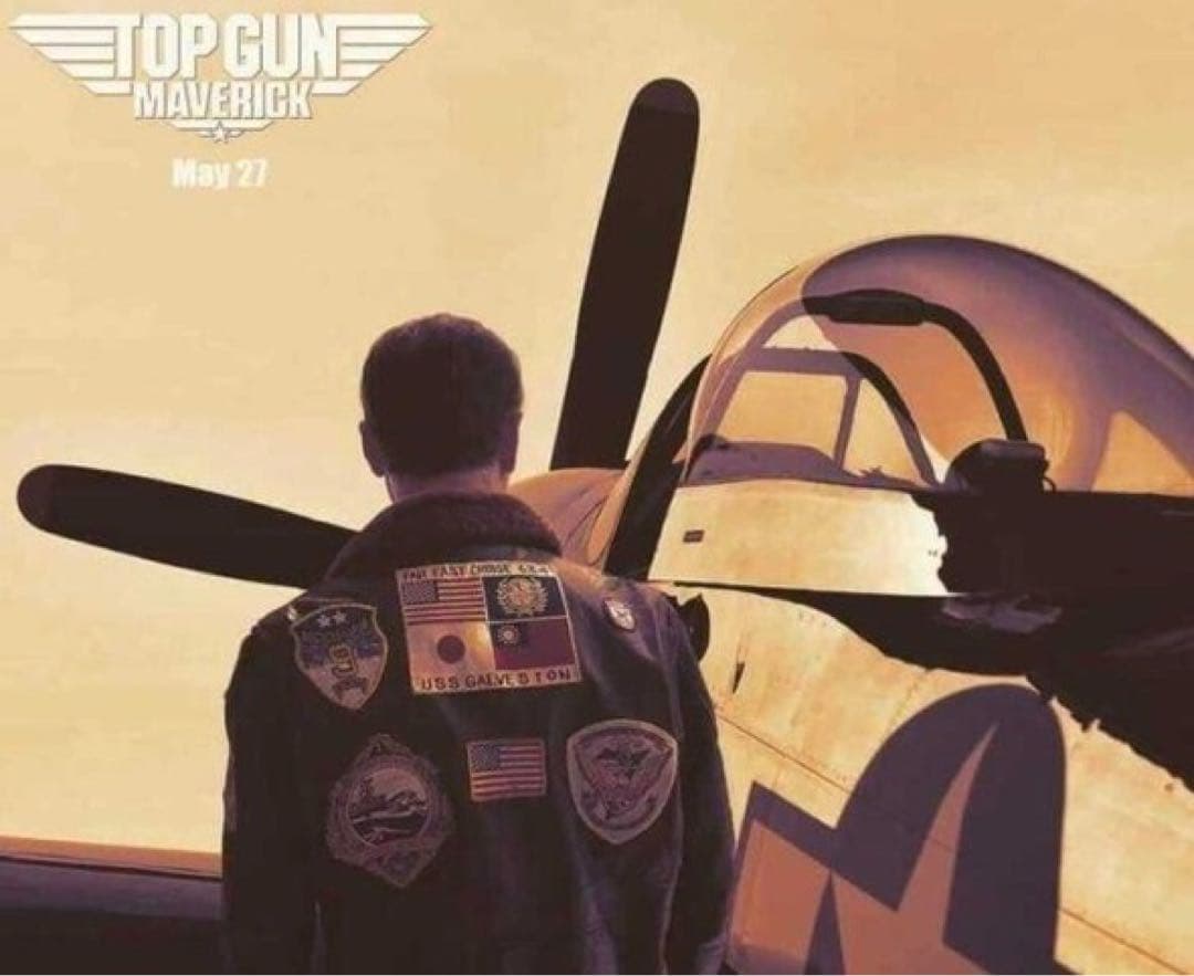 摩*楼様 超希少 AVIREXトップガン G-1 日本国旗モデル ジャケット　タ