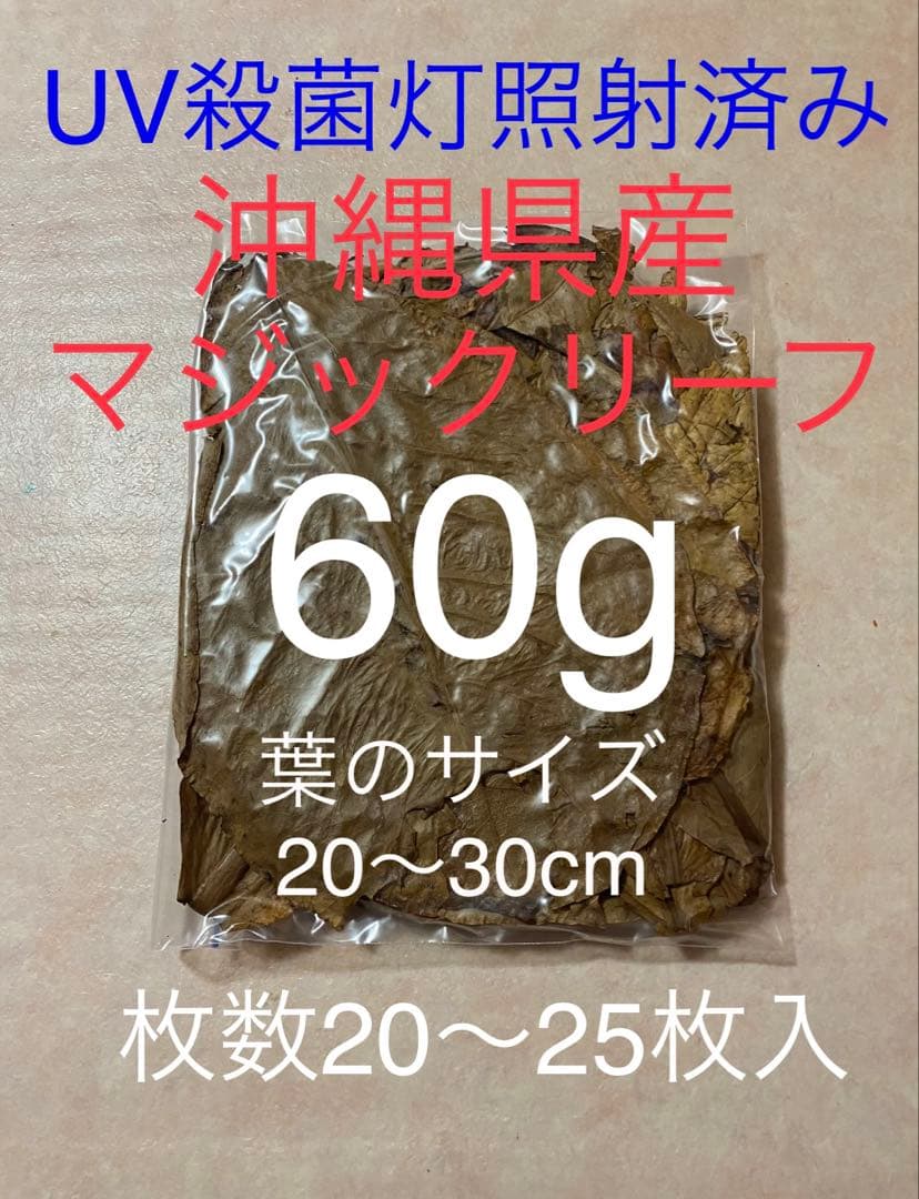 【山田さん専用】マジックリーフ　箱詰め