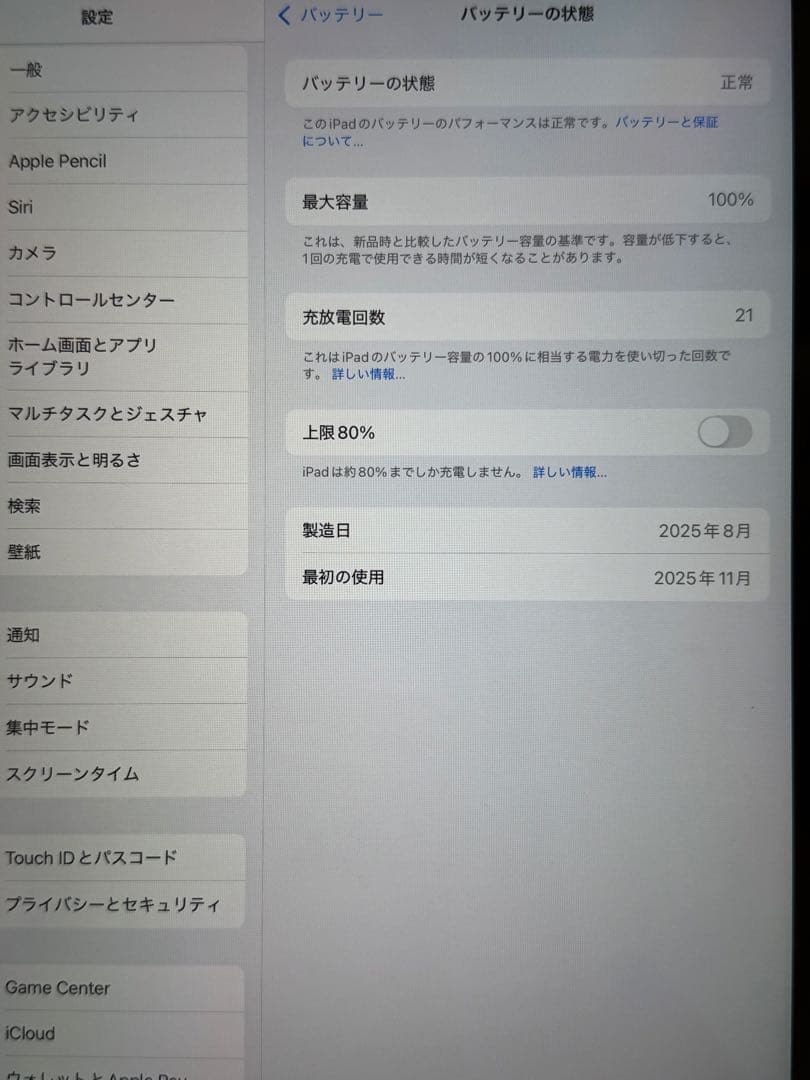 Apple iPad (第10世代) 本体