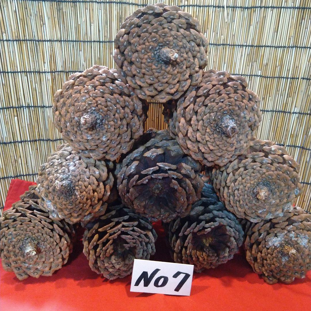 ザックスです。他の方はご購入をご遠慮くださいませm(_ _)m