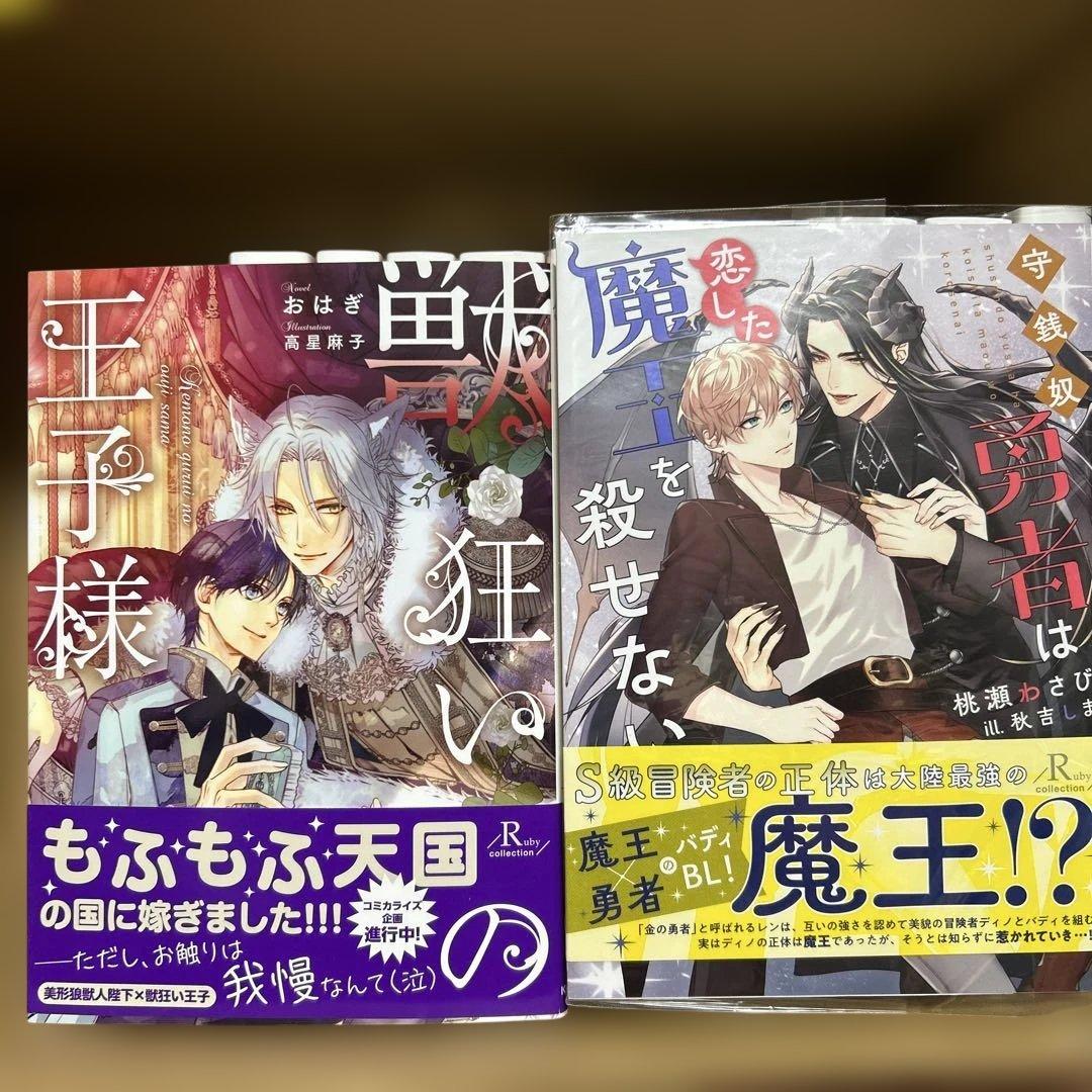 bl 小説纏め売り　大判サイズ15冊セット