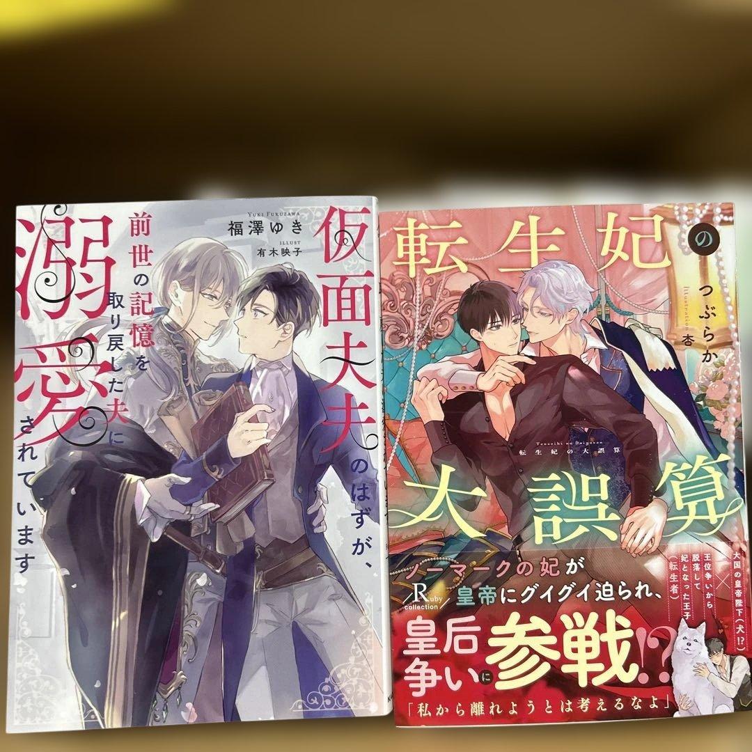 bl 小説纏め売り　大判サイズ15冊セット