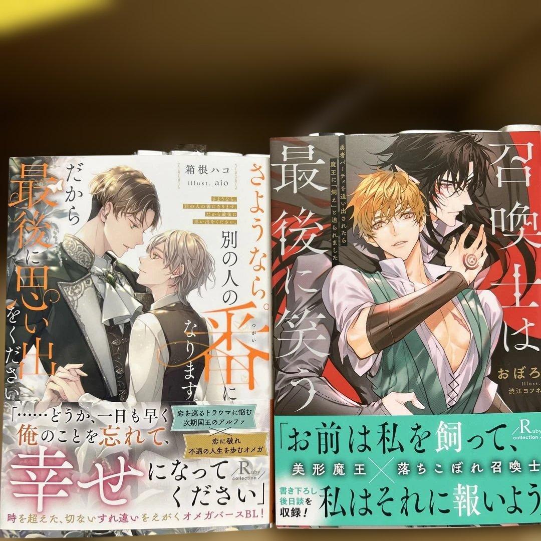 bl 小説纏め売り　大判サイズ15冊セット