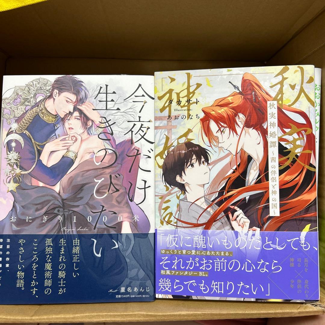 bl 小説纏め売り　大判サイズ15冊セット