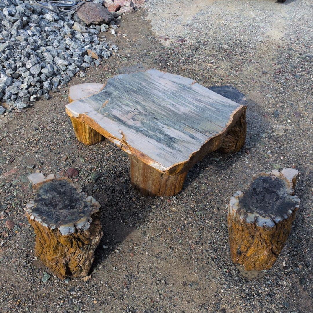 インドネシア産　珪化木　ガーデンテーブル　椅子4石　セット　木化石