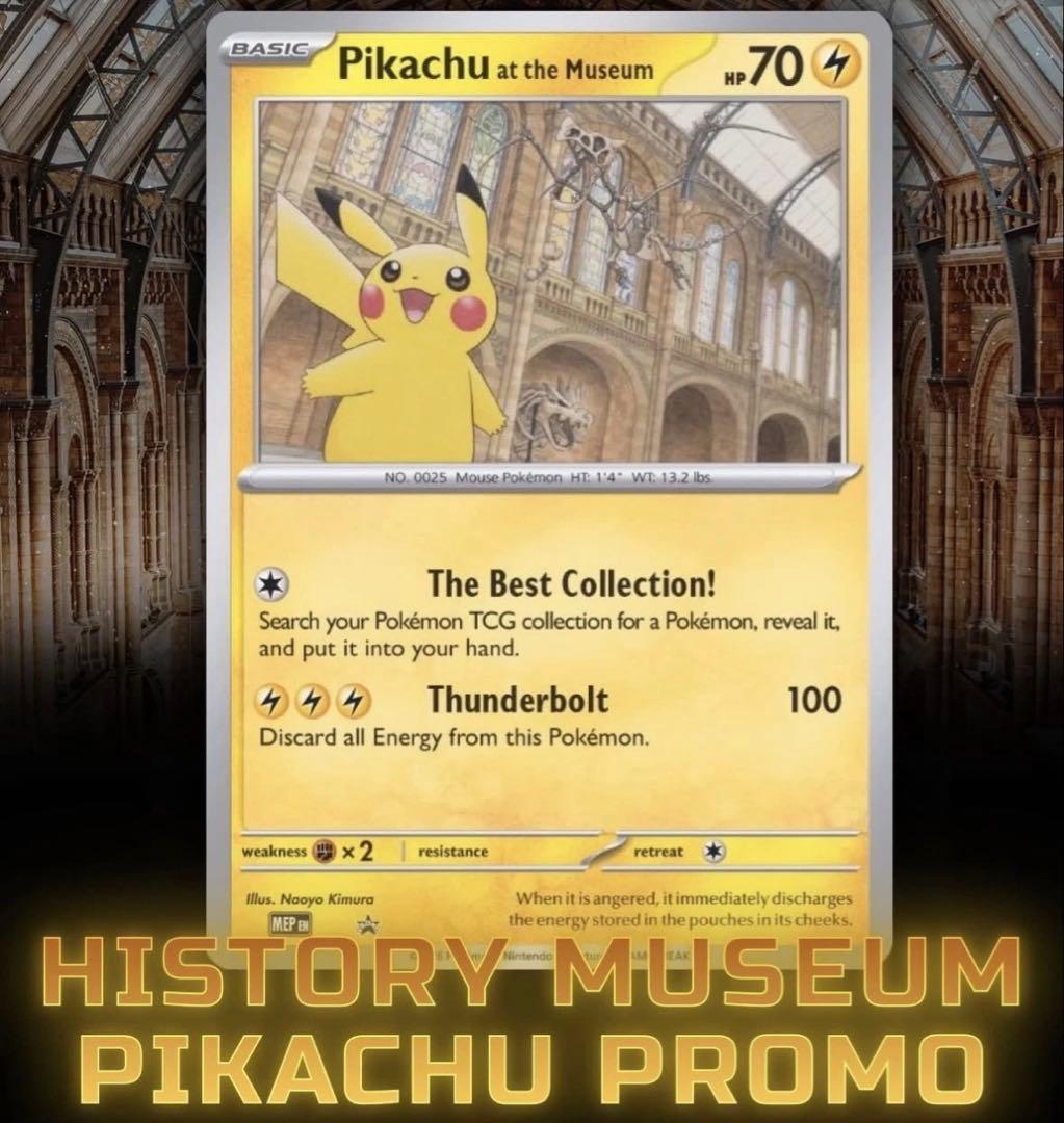 Pikachu at the Museum ピカチュウ ロンドン自然史博物館　⑥