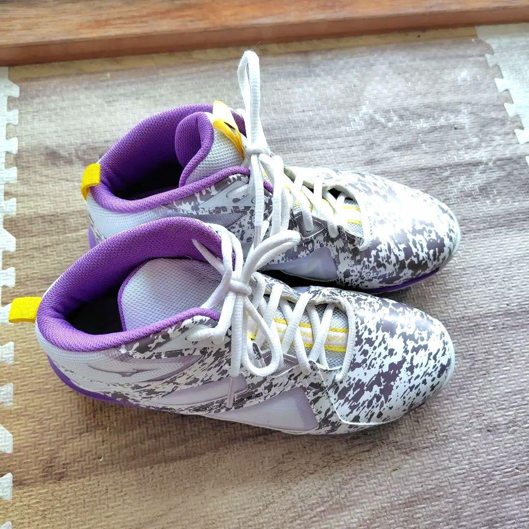 ミズノウェーブダイバーズLG4　24.5cm