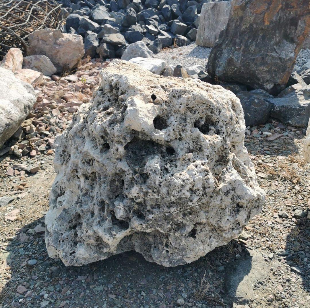 サンゴ石　170キロ　庭石　石　鑑賞石 石材　庭　ガーデニング　置物