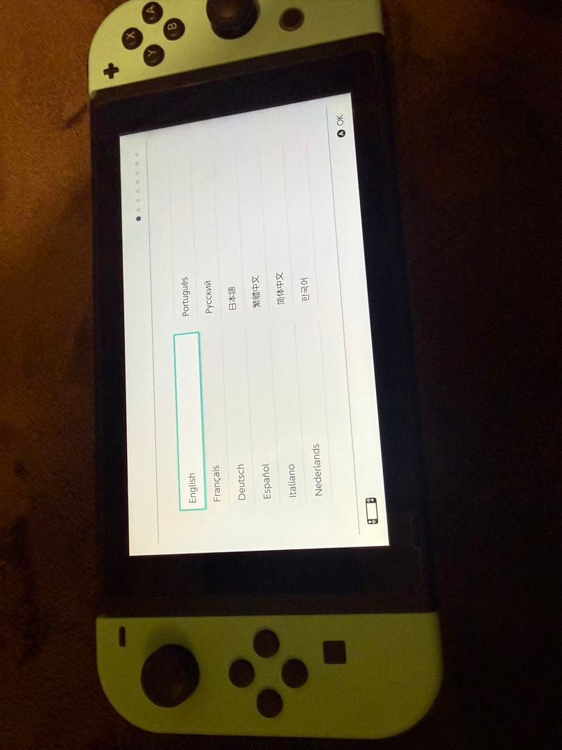 Nintendo Switch あつまれどうぶつの森セット　オマケ有　※ソフト無