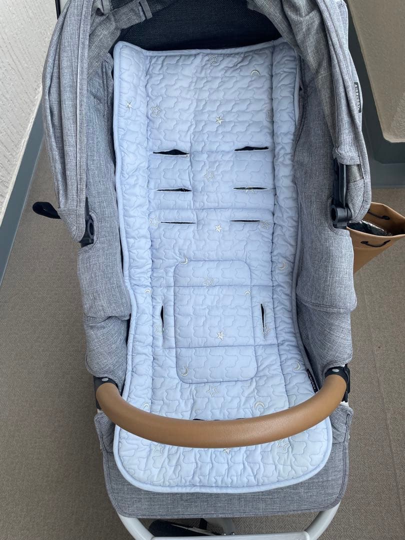 AIRBUGGY COCO BRAKE EX FROM BIRTH グレー