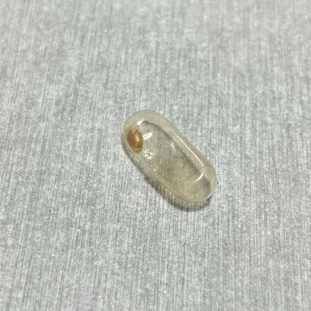 m*g様 激レア　美品　大分県産　蓋付き　オンセンゴマツボ