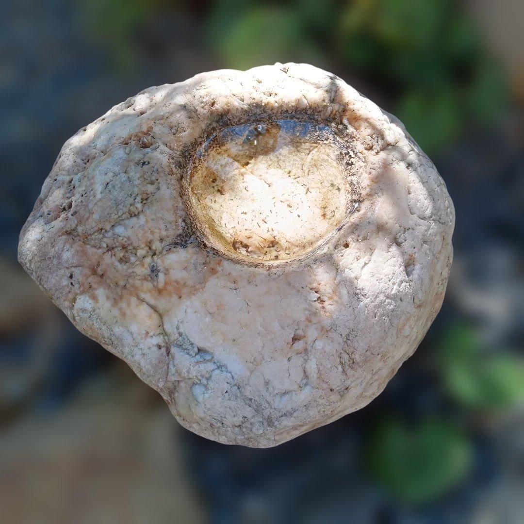 蹲　手水鉢　庭石　灯籠　臼　ガーデニング　園庭　オブジェ