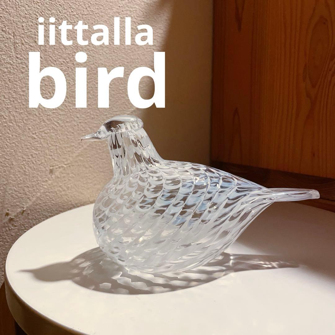 ✳︎最終値下げ✳︎バード バイ トイッカ メディエータードーブ