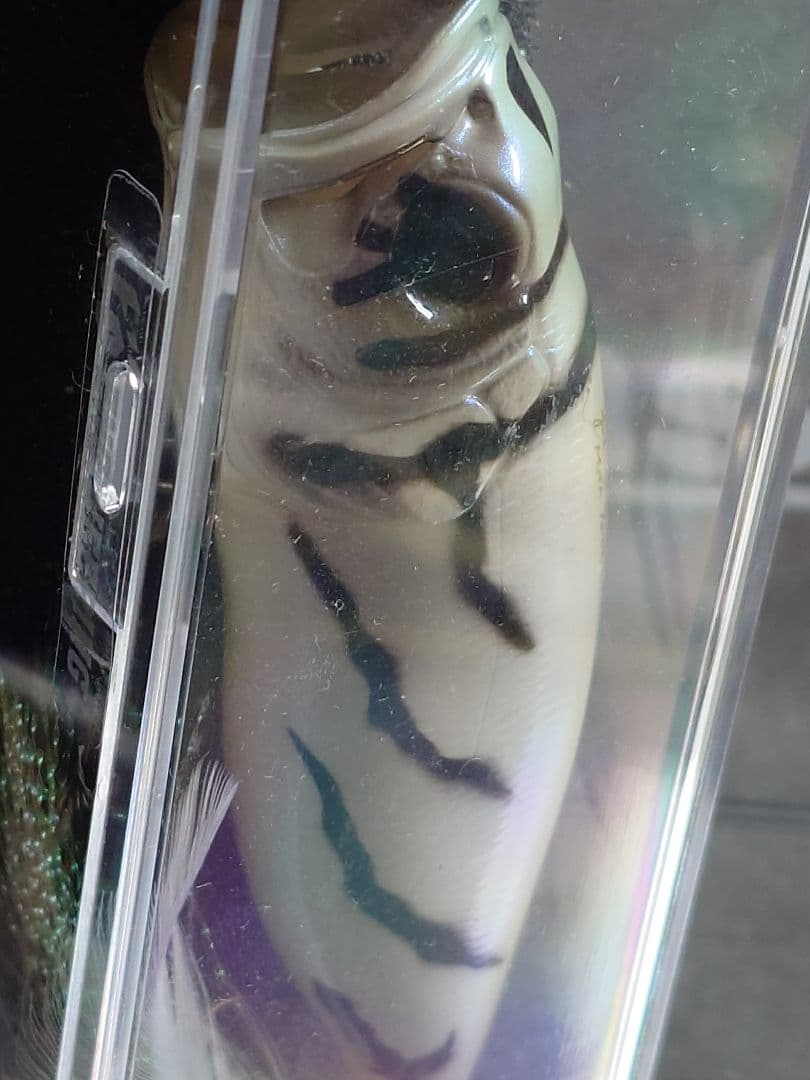 メガバス ポップマックス POPMAX限定 スペシャル ショットガン 新品未開封