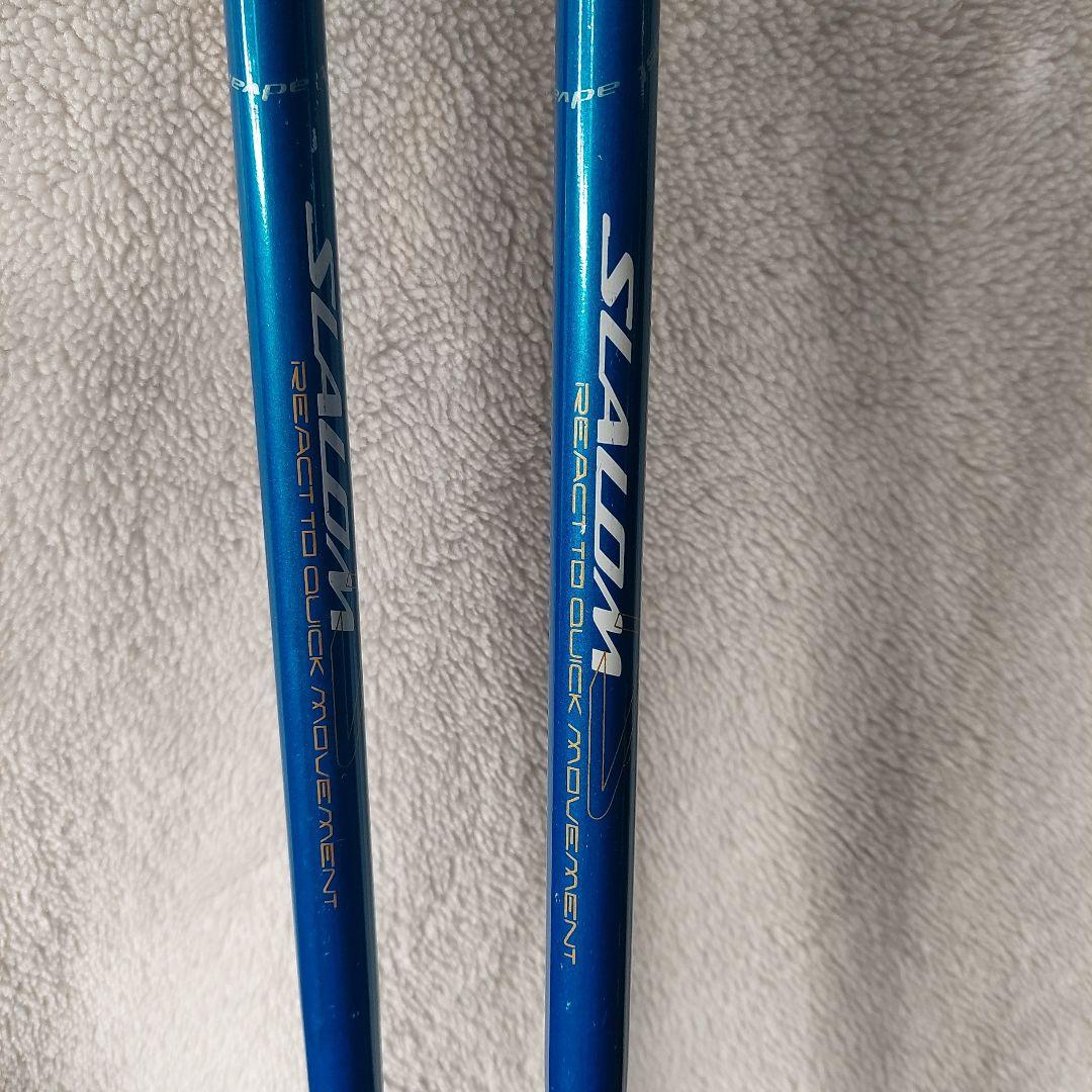 Salomon パワーエッジスキー