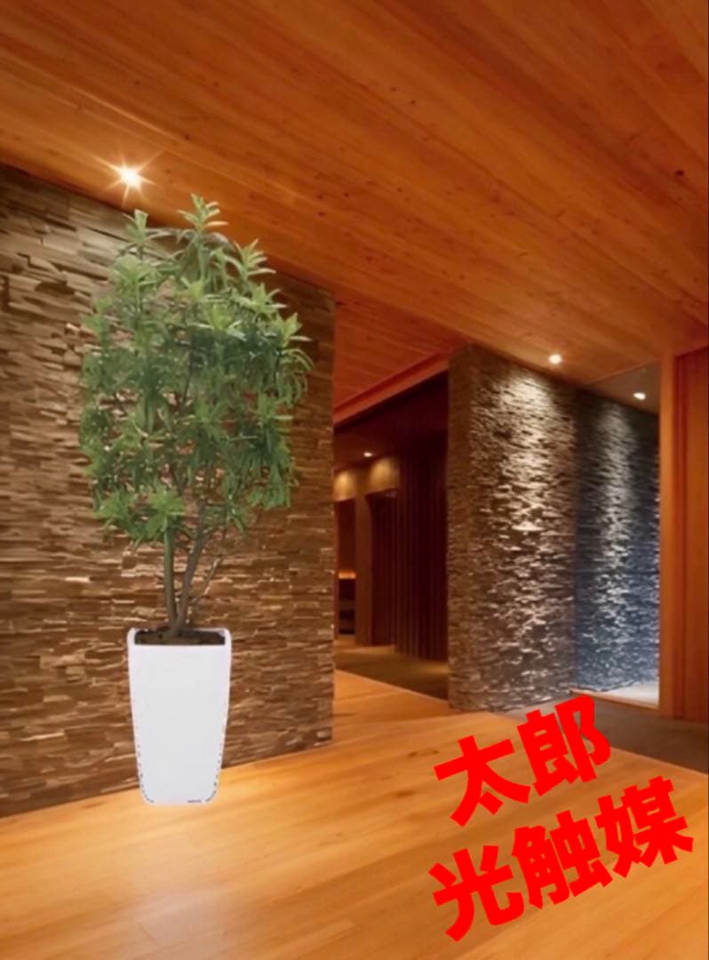 光触媒　人工観葉植物　フェイクグリーン　フレッシュドラセナW1.8m