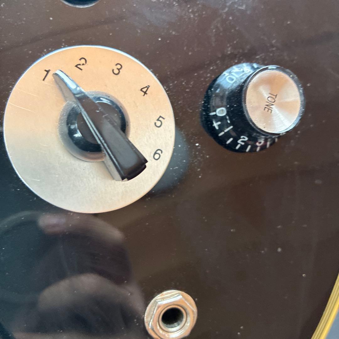 ギター epiphone ES-335 shinichi ubakata