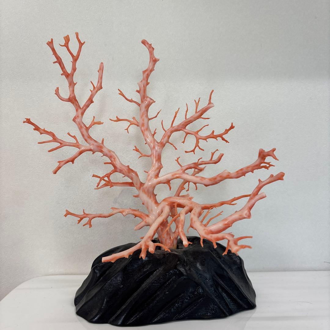 珊瑚　置物　サンゴ　さんご