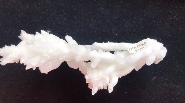 ★アポフィライト原石★ No.966