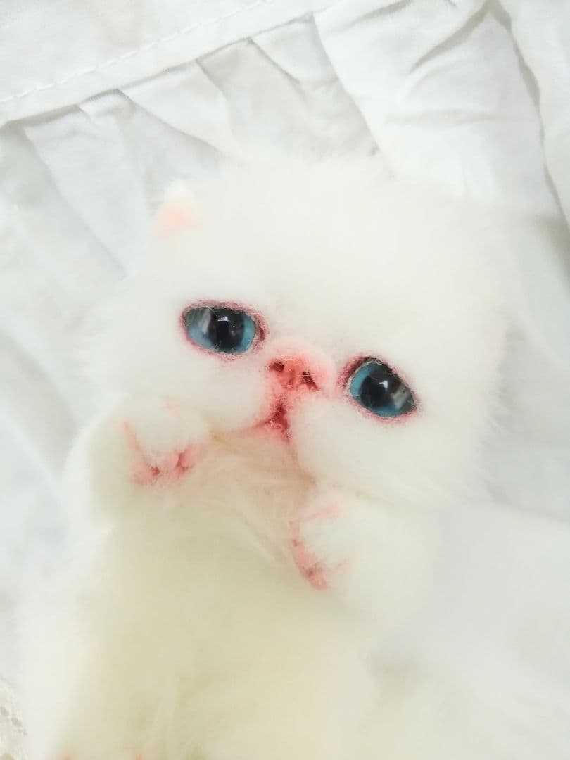 ミニミニ子猫ちゃん♡エキゾチック♡アートドール♡ぬいぐるみ♡