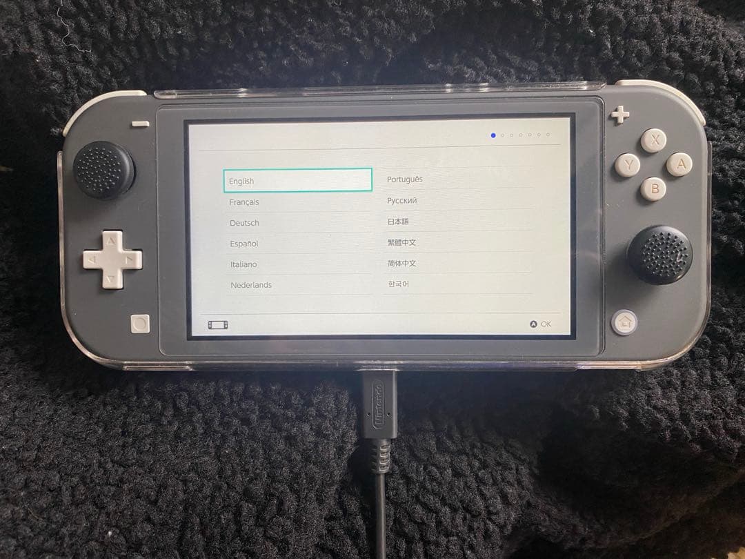 Nintendo Switch Lite グレー 本体 充電器／カバー/フィルム