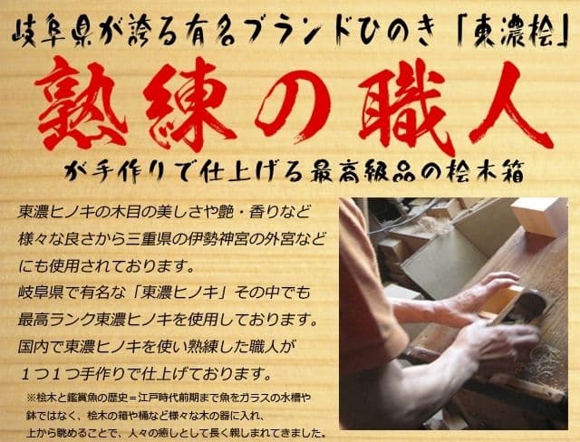 タイムセール 樹脂 金魚アートプレミアム 「極/もみじ・緑」  長寿 縁起物