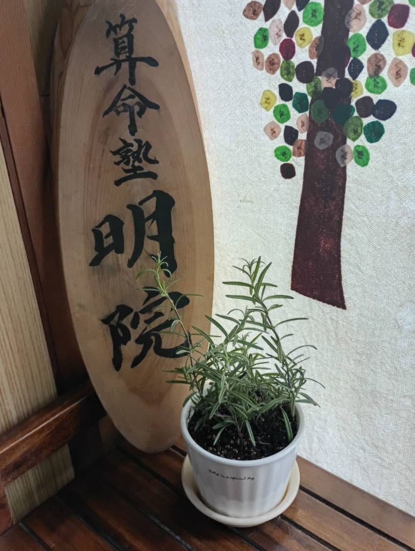 【ユウ様ご予約品です】【算命学鑑定】