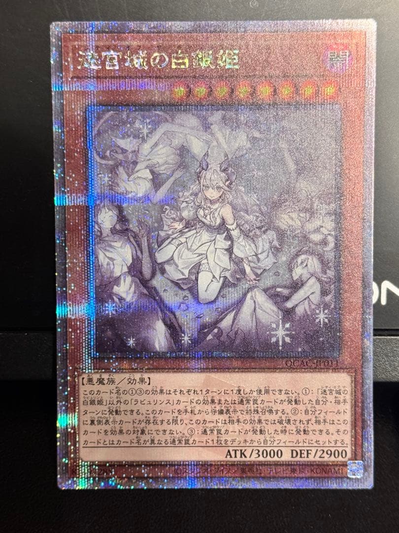 迷宮城の白銀姫 絵違い(レディ・オブ・ラビュリンス)25th クオシク