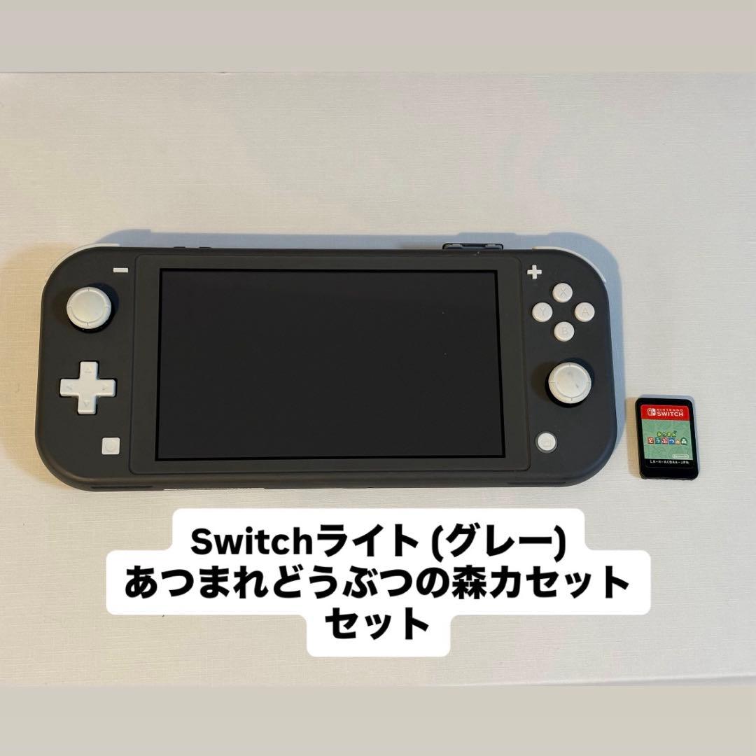Switchライト グレー あつまれどうぶつの森 セット
