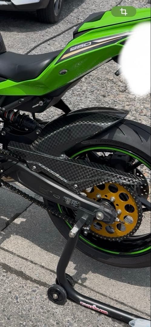 A-TECH エーテック リアフェンダーSPL ZX-25R ZX-4R用