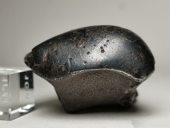 Sikhote-Alin  シホテアリニ  シホテアリン 約58.9㌘