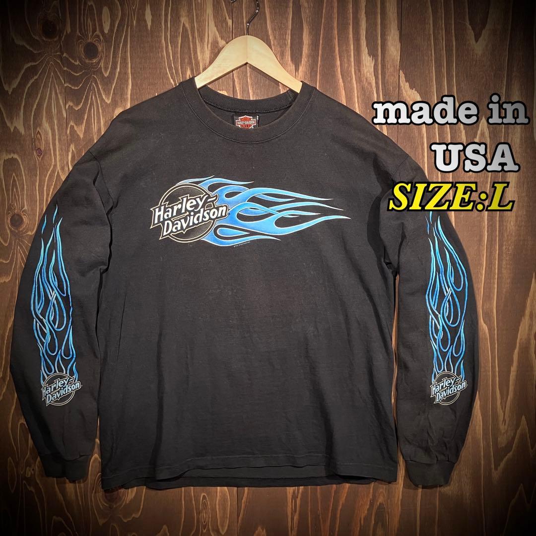 USA製 ハーレーダビッドソン ブルーフレイム　ロンt 長袖　ブラック　Ｌ