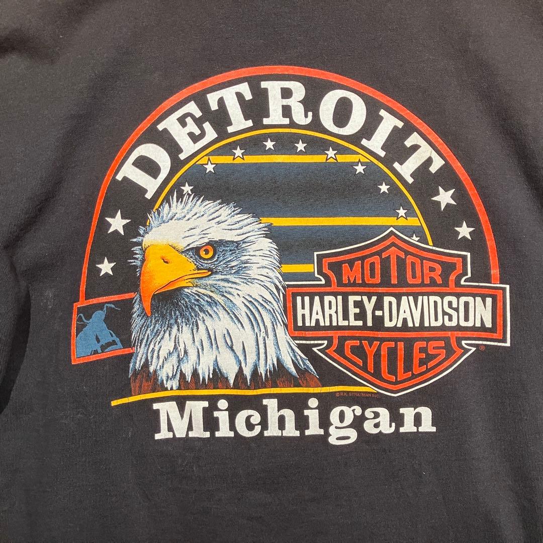 USA製 ハーレーダビッドソン ブルーフレイム　ロンt 長袖　ブラック　Ｌ