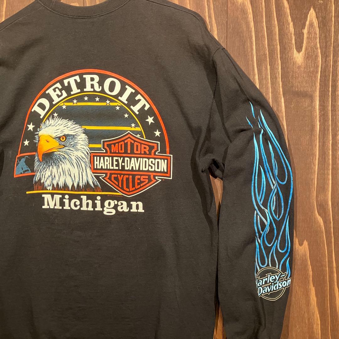 USA製 ハーレーダビッドソン ブルーフレイム　ロンt 長袖　ブラック　Ｌ