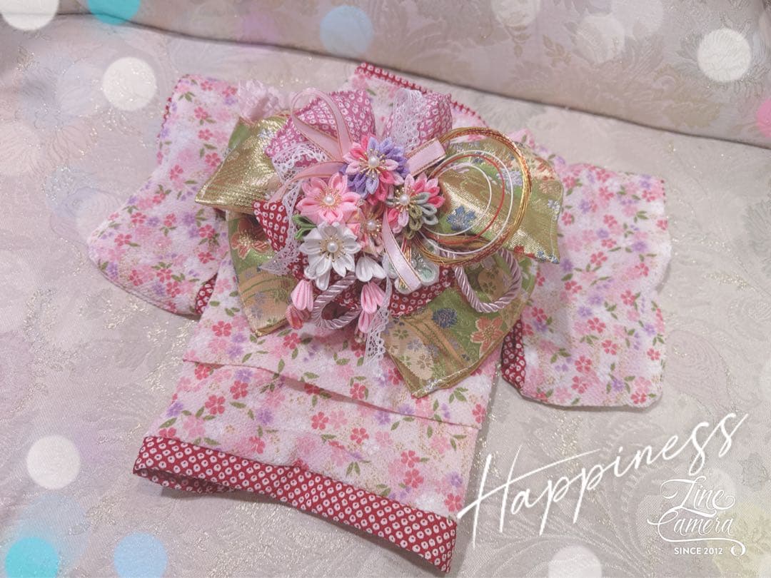 B409.pon2pan2☆オーダー☆犬お着物