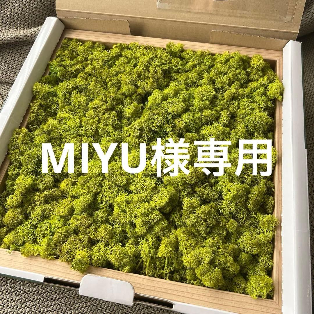 専用　スカンディアモス　フラモ　インテリア　アート　壁掛け