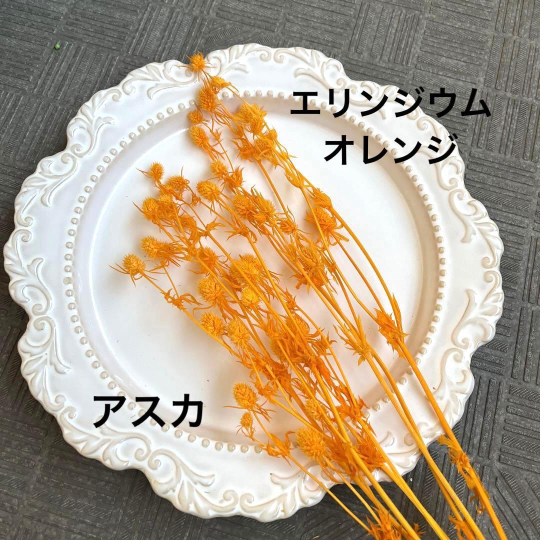 新品　エリンジウム　オレンジ　1束　アスカ　現品のみ