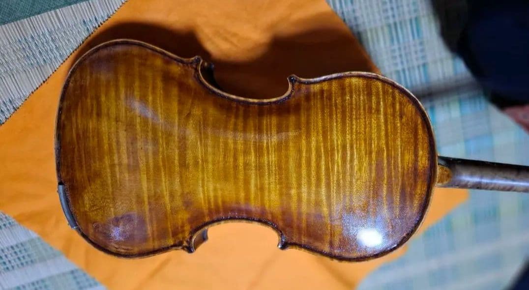 (エンリスク チェルティー 裏板のみ制作)のバイオリン