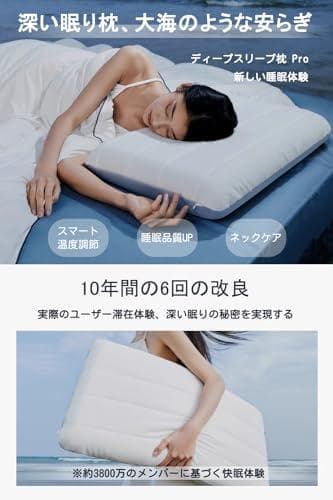 【最高級ｘ5つ星ホテル仕様】Ｋｅｂｎｏｒ 枕 首が痛くならない 枕カバ_corg