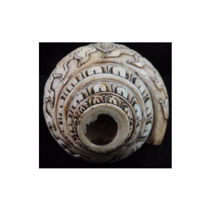 ◆ チベット密教法具　法螺貝（シャンカ）ヴァジュラ・バイラヴァ