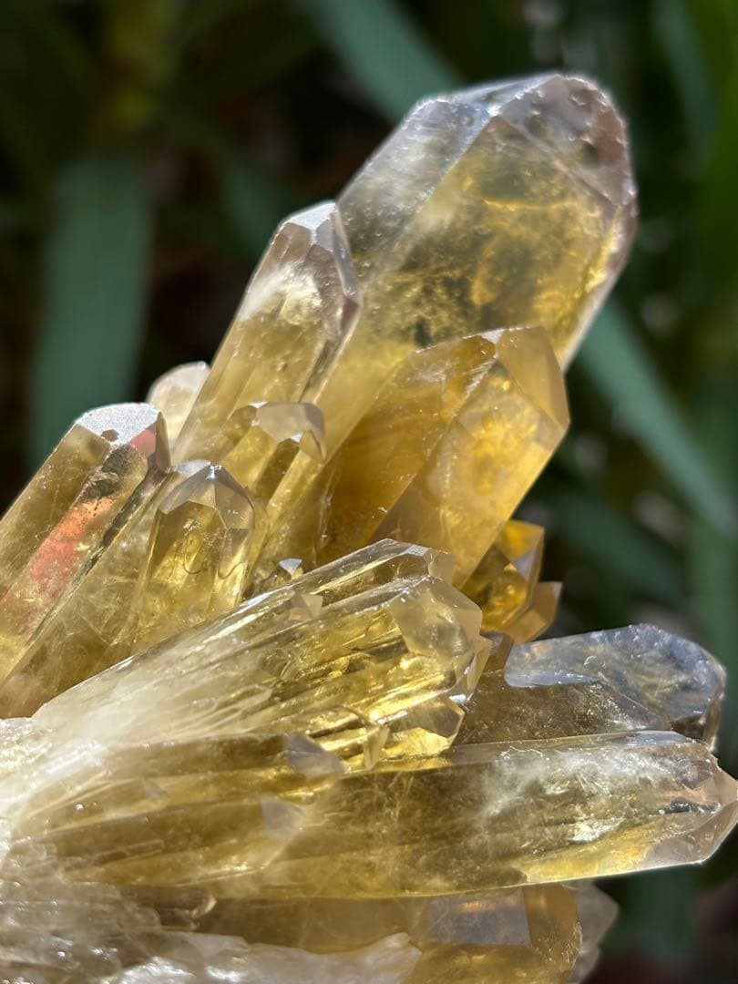 ブラジル産シトリンクラスター561g 花のようなクラスター　透明度　照りツヤ有